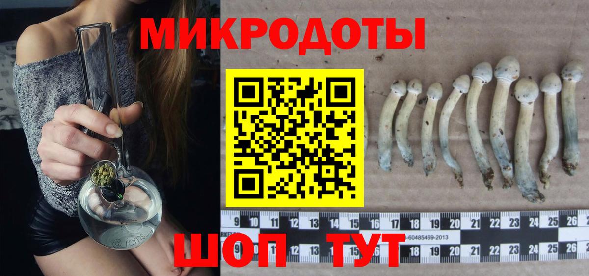 Псилоцибиновые грибы мухоморы Екатеринбург